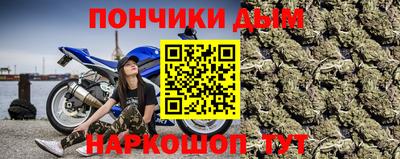 стаф Краснодар