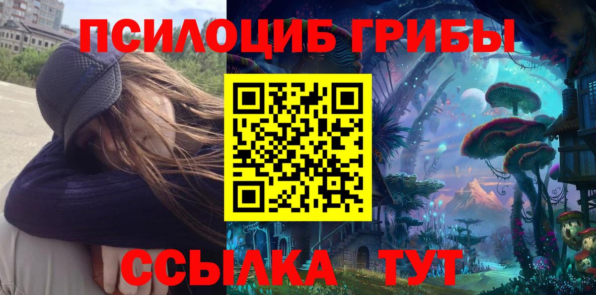 Псилоцибиновые грибы Psilocybe Заводоуковск