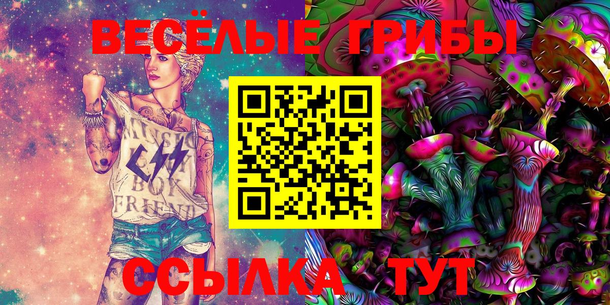 Галлюциногенные грибы мицелий  Галлюциногенные грибы ЛСД  Заводоуковск  Вход с VPN 